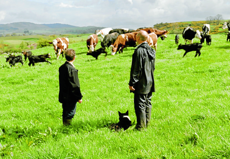 Dairy documentary to get local screening