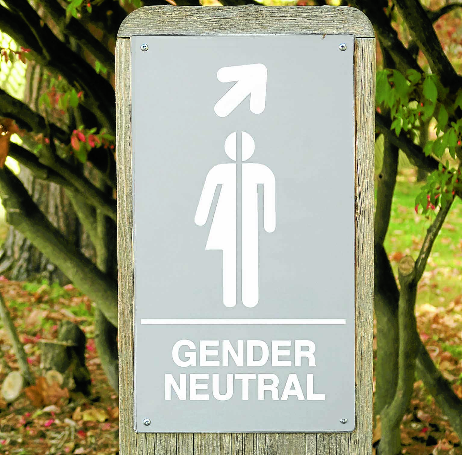 Schools introduce gender neutral toilets