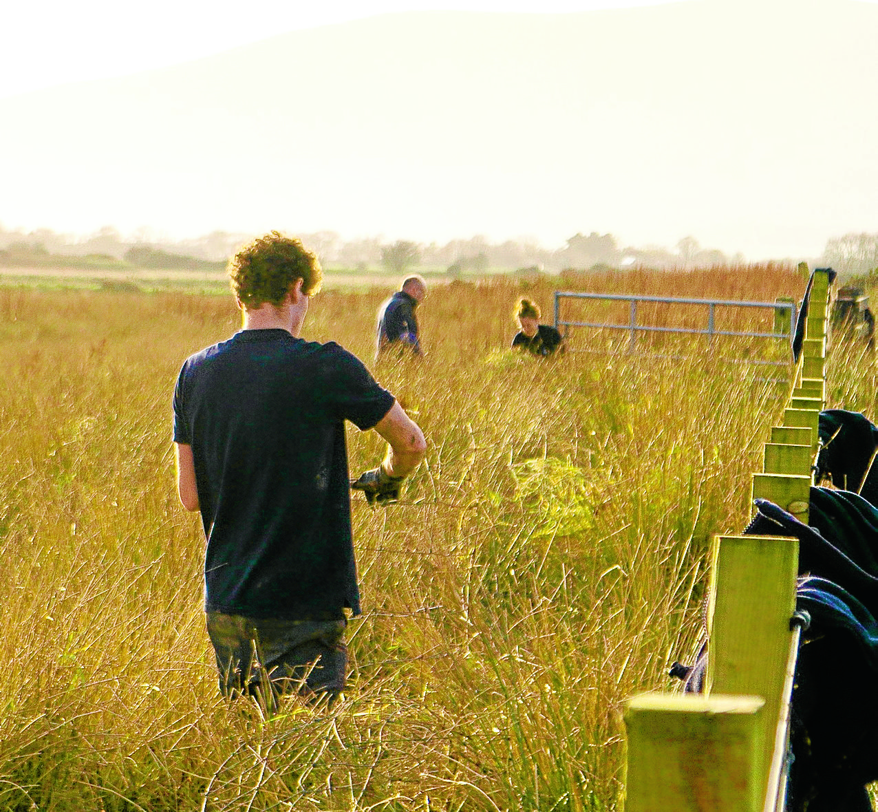 Volunteers' efforts at nature reserve highlighted