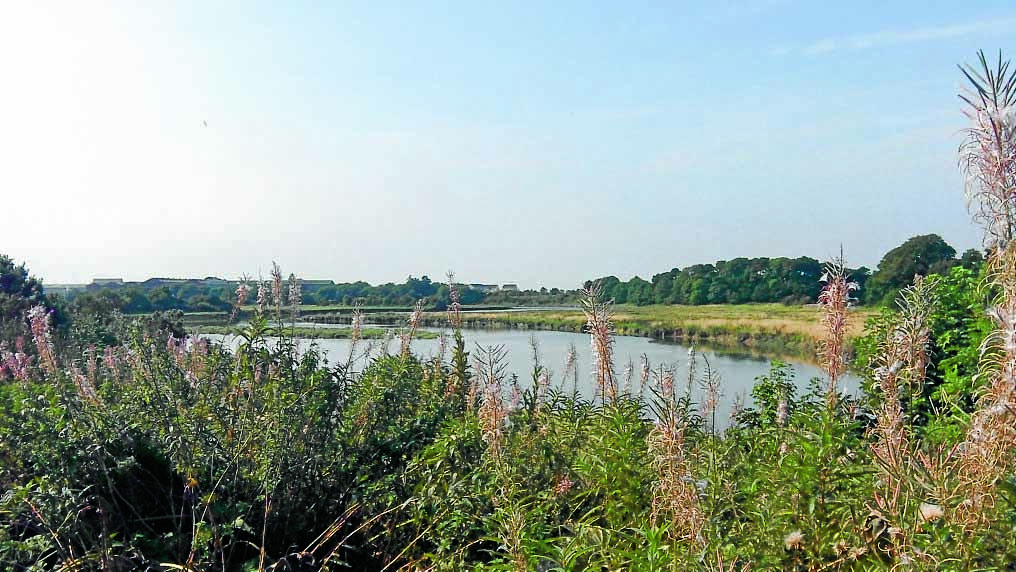 Work ongoing to fix harbour funding gap