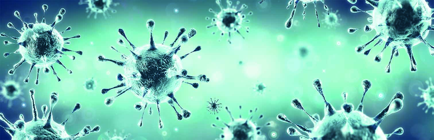 Virus fears hit festival plans