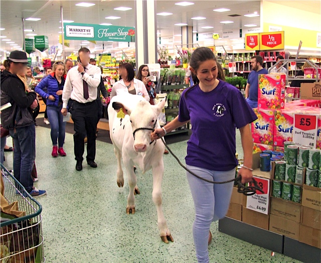 Cow led through supermarket in milk price protest