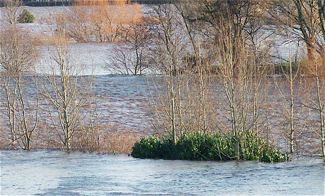 Whitesands flooded as 'Desmond' batters region