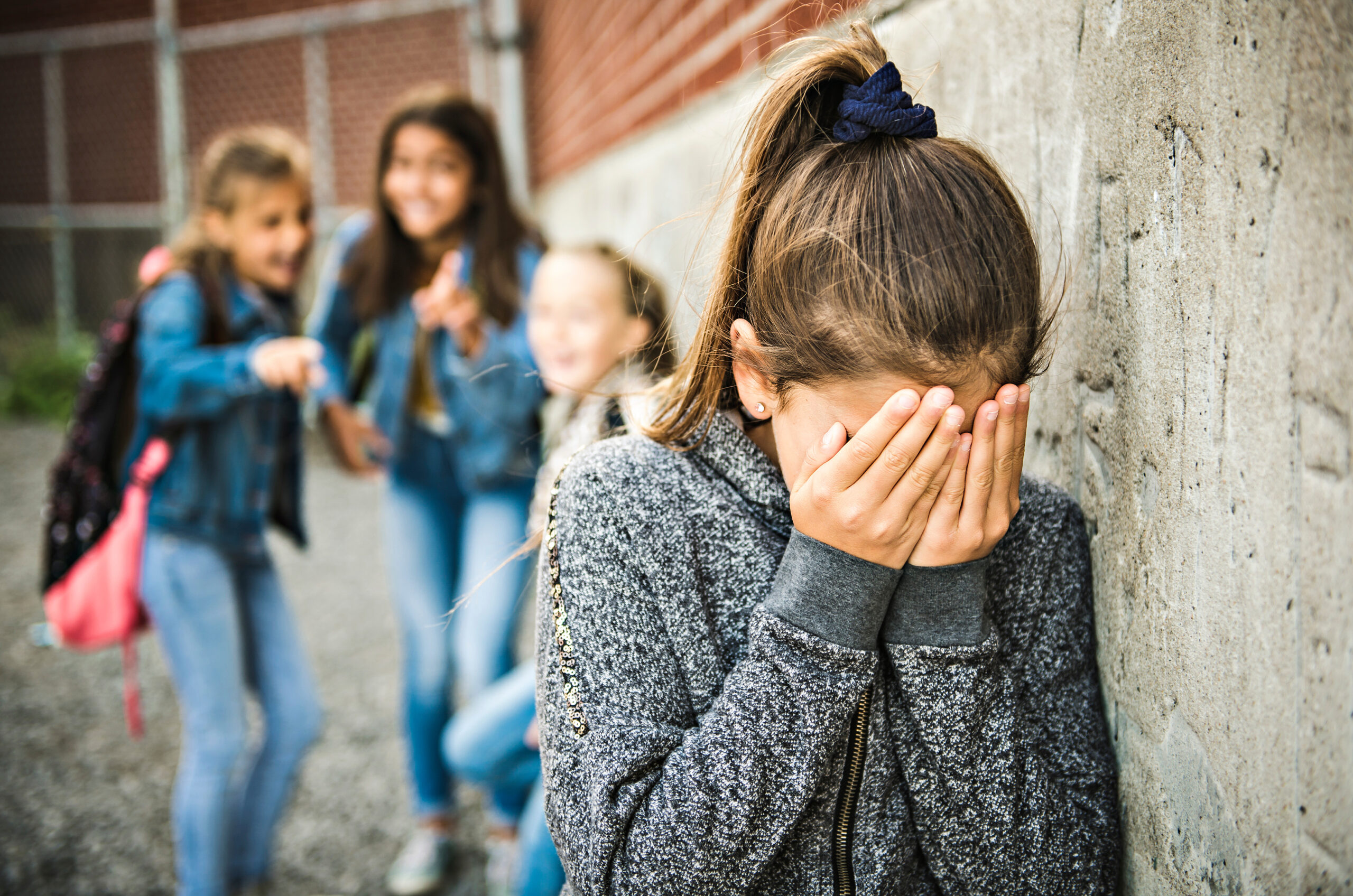 Prevention at heart of new bullying strategy