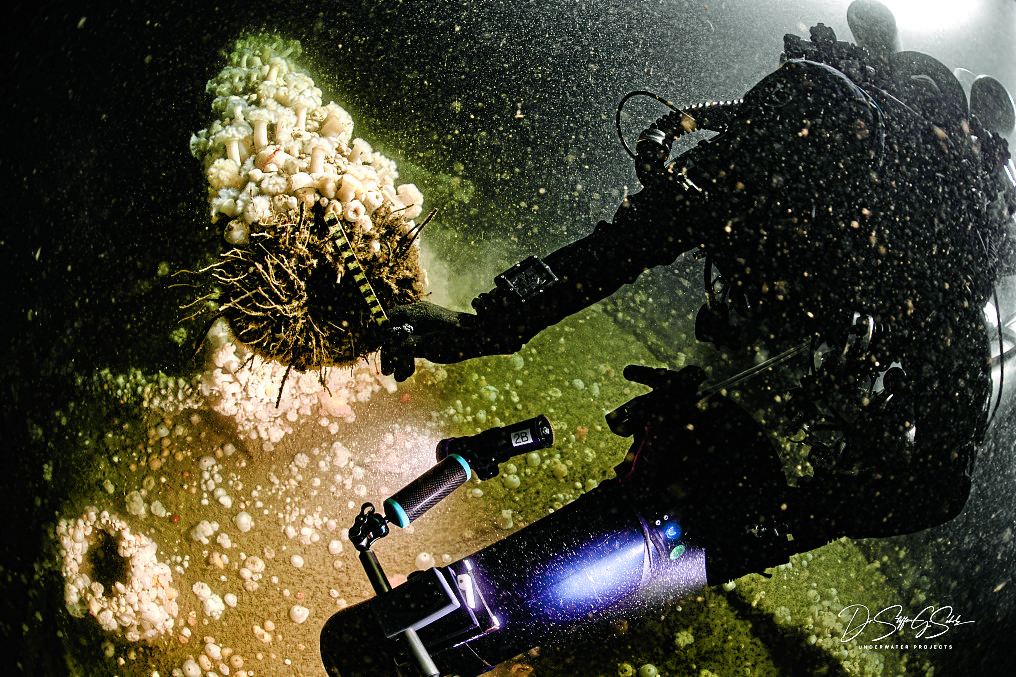 WWI wreck found
