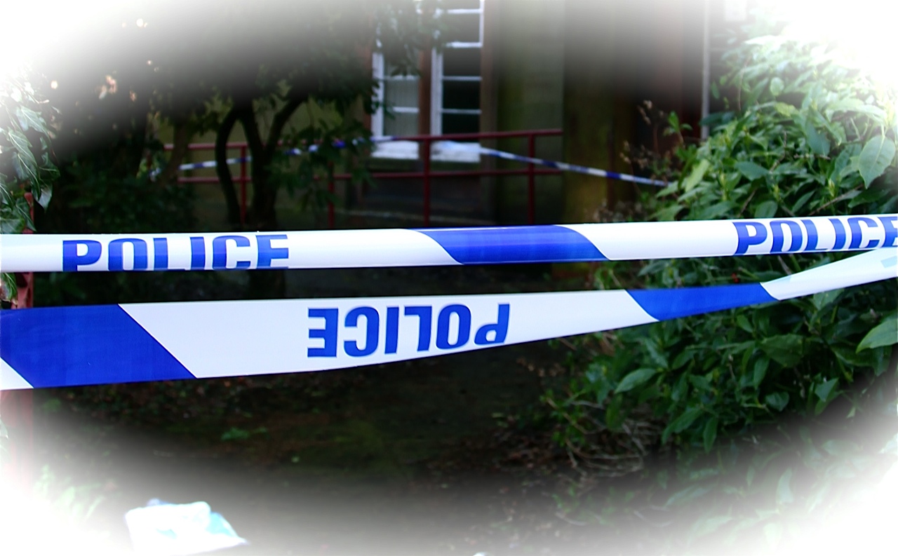 UPDATE: Man sought after stolen car found on fire