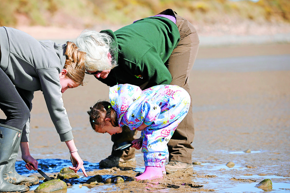 Green jobs boost for region
