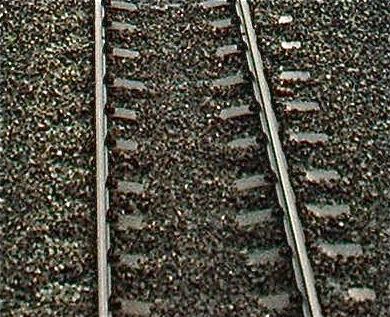 Station research appeal
