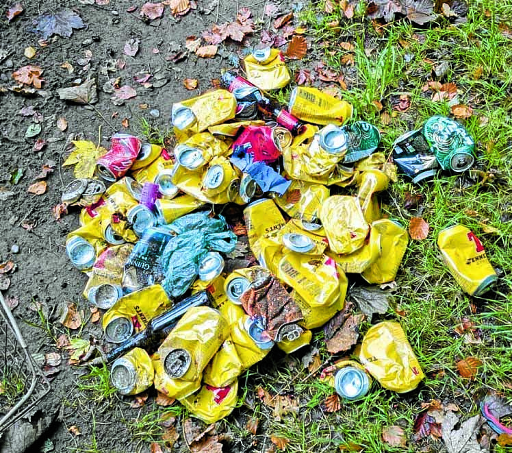 Plea to keep the River Annan rubbish free