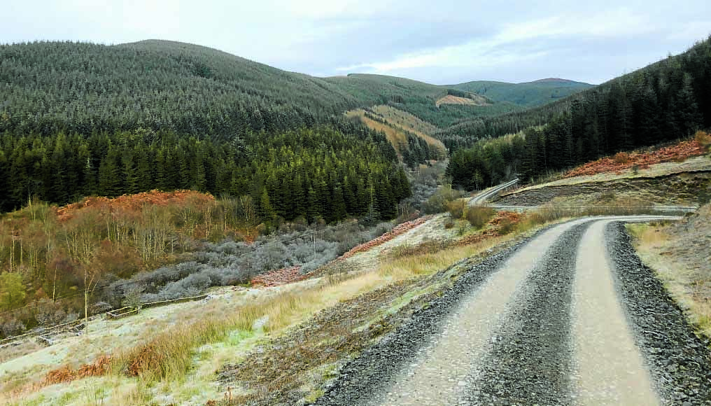 Reasons behind windfarm refusal revealed