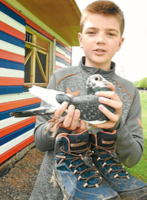 Pigeon pair prepare for triple peak  challenge