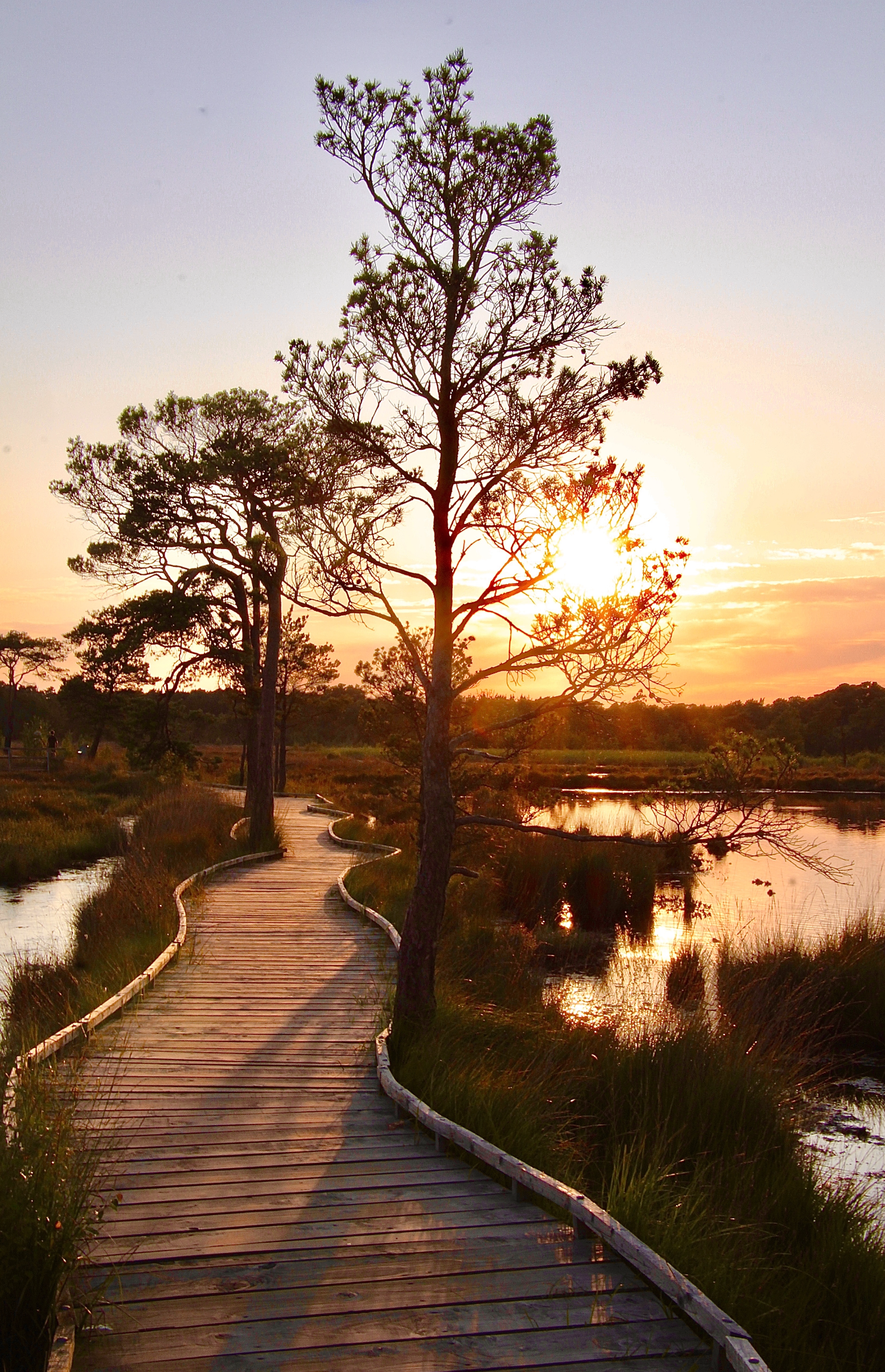 Nominate your favourite path