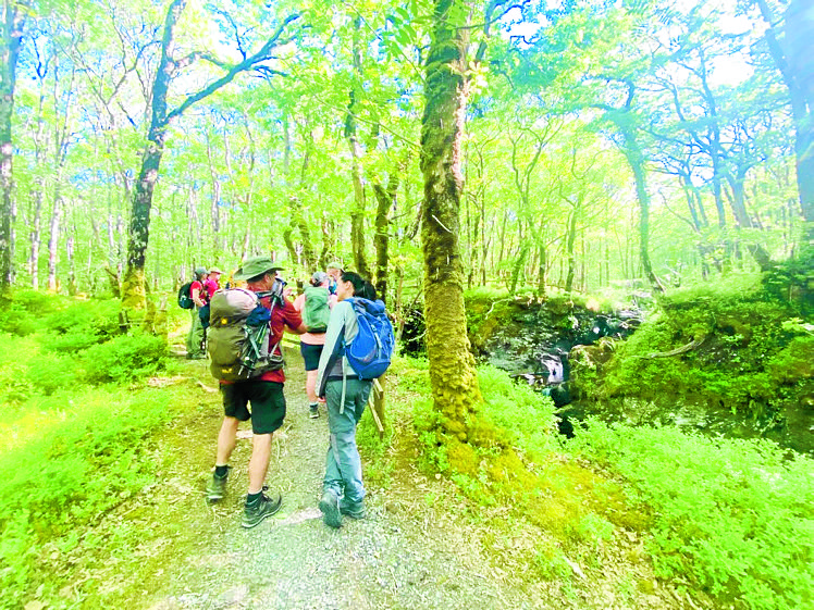 Final prep for walking festival