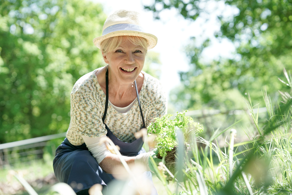 Gardeners invited to take part in Annan in Bloom