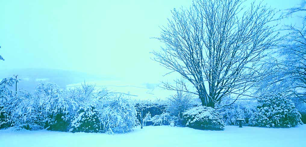 Snow and ice warning
