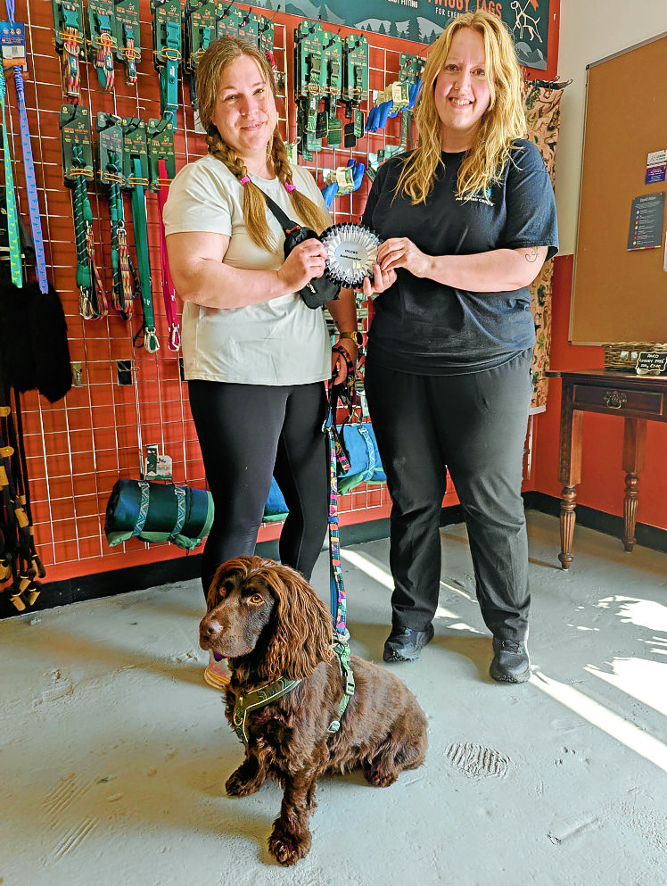 Ambassador role for dog-lover Amy
