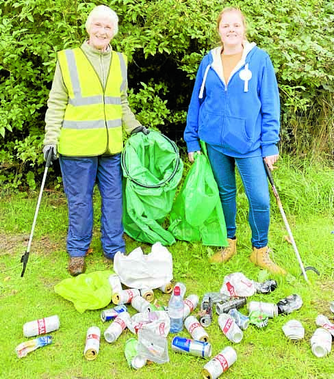 All hands on deck for park clean up