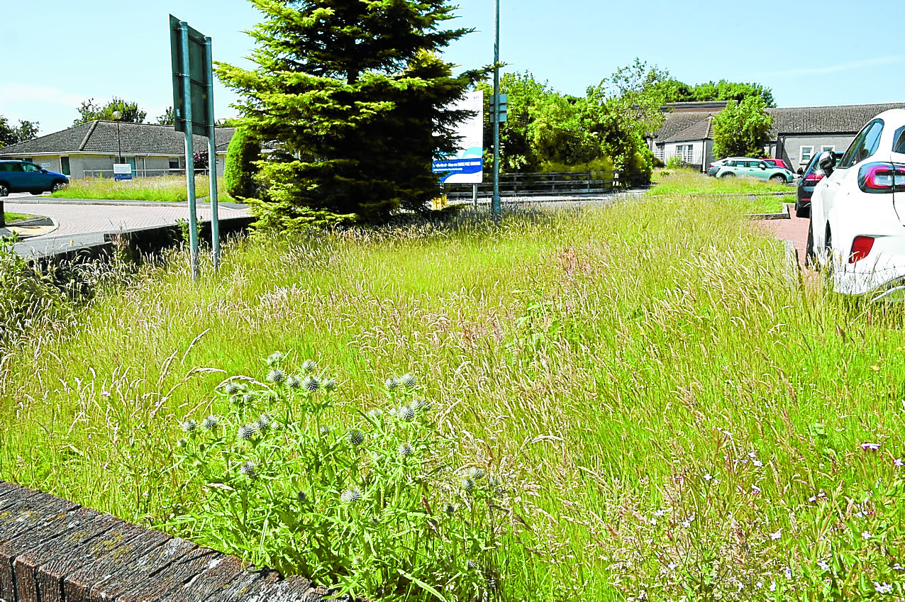 State of hospital lawns criticised