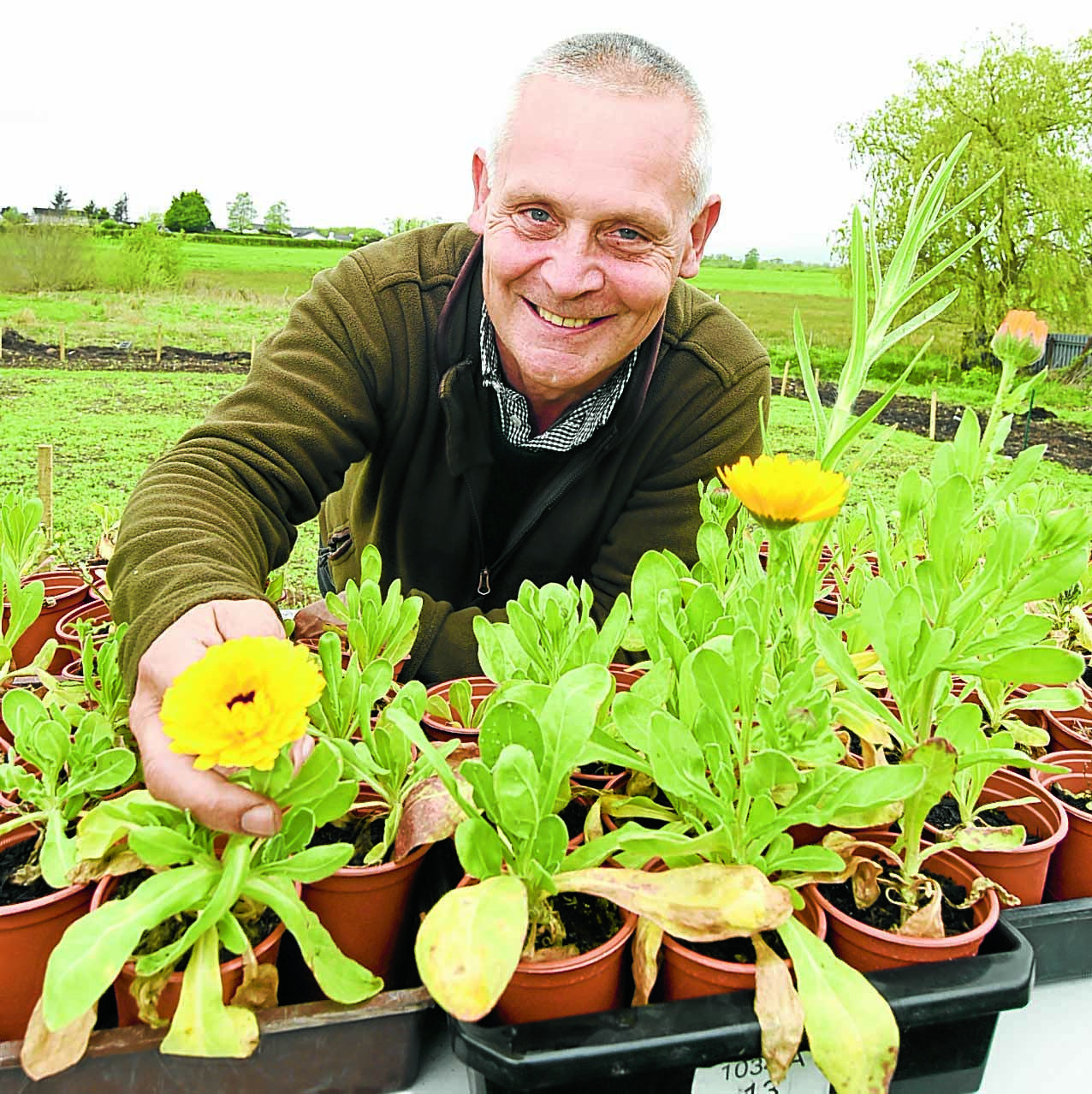 TV debut for gardener Graham