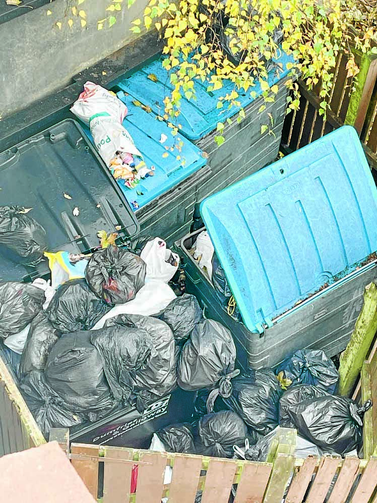 Bin mess frustration for tenants