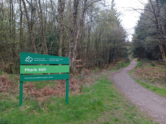 Woman assaulted in woods