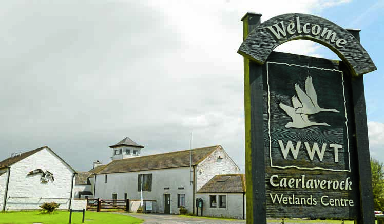 Wetland Centre to close til spring