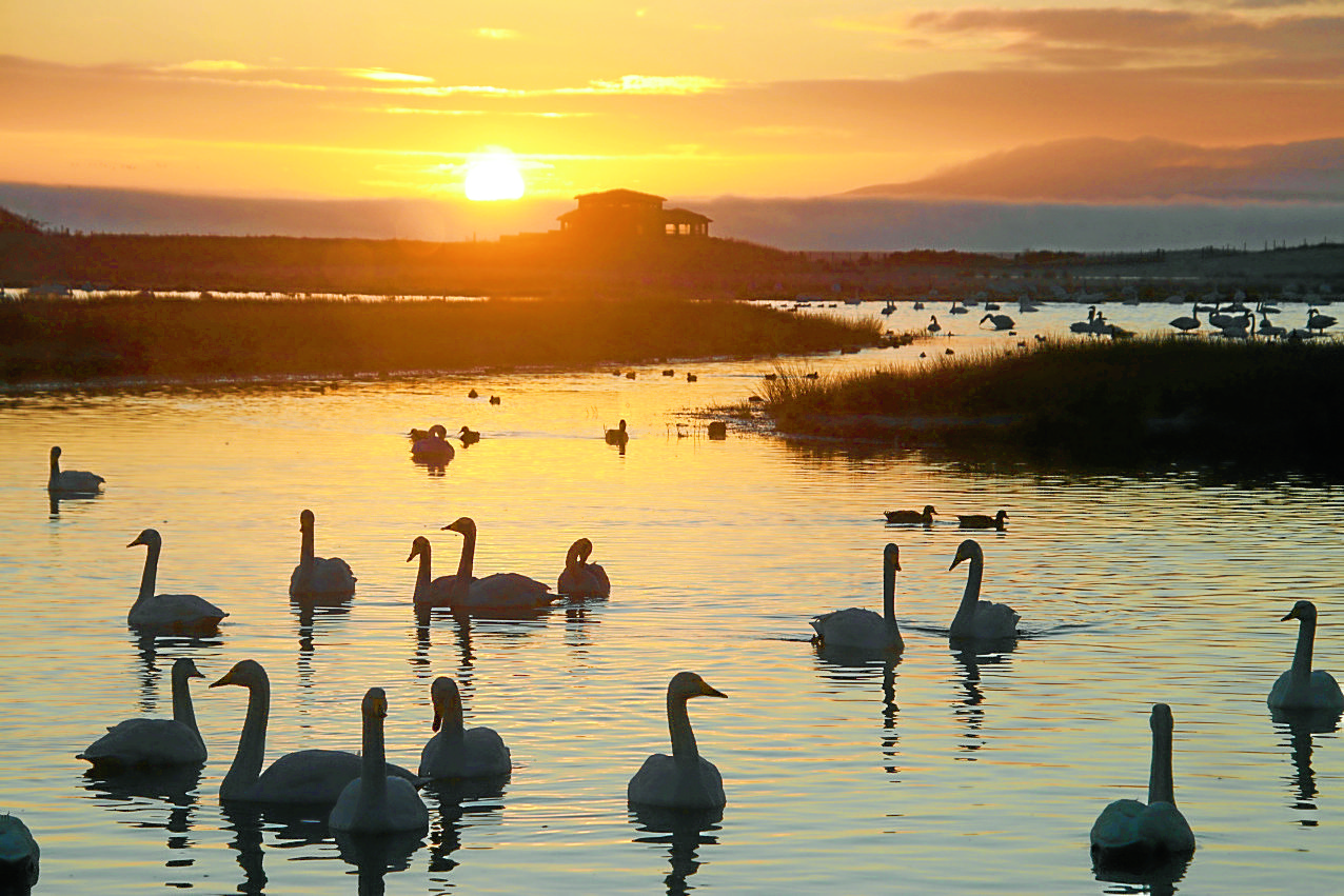 Wetlands visits aim to help dementia sufferers