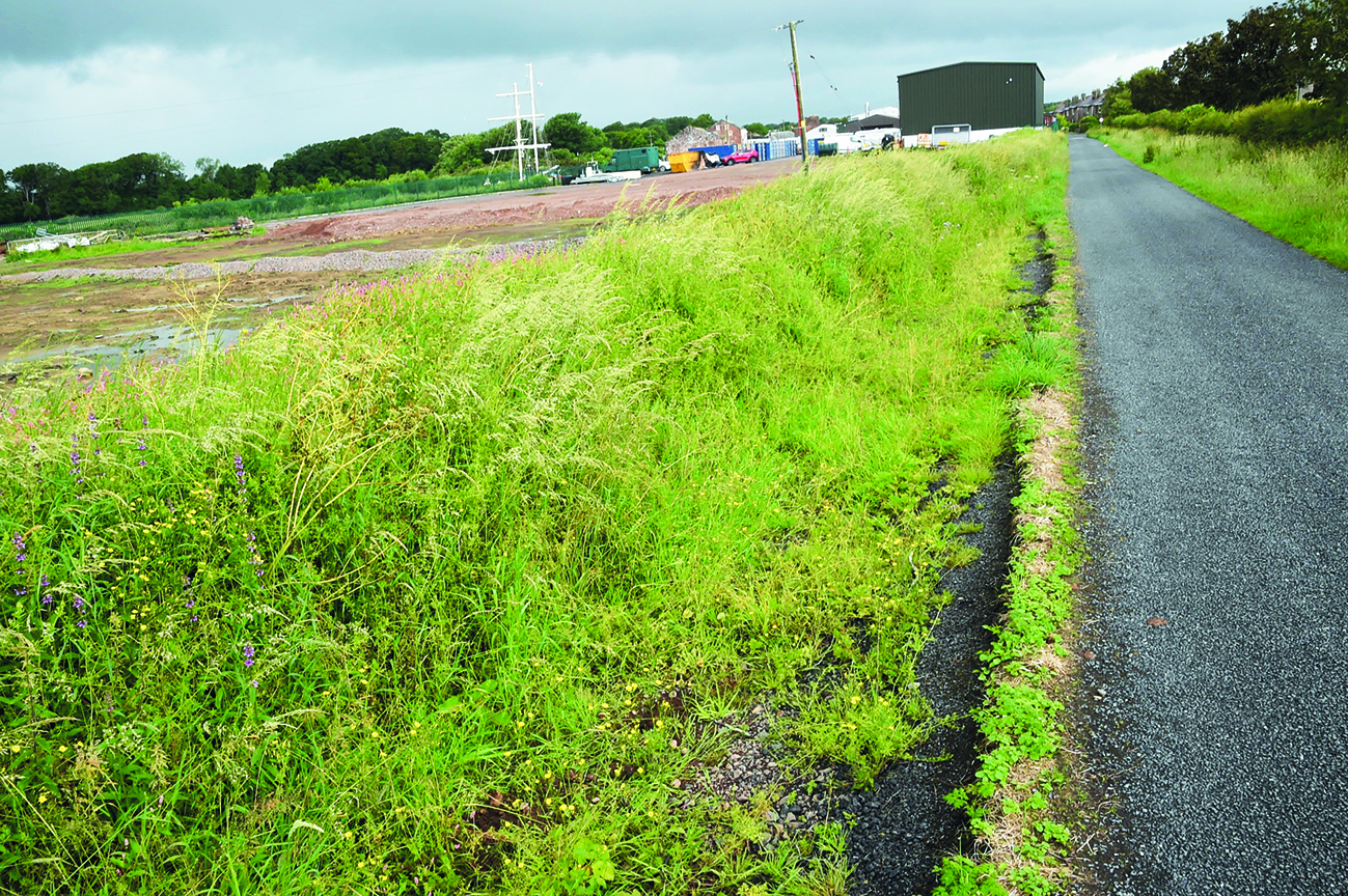 Caravan site proposed near harbour