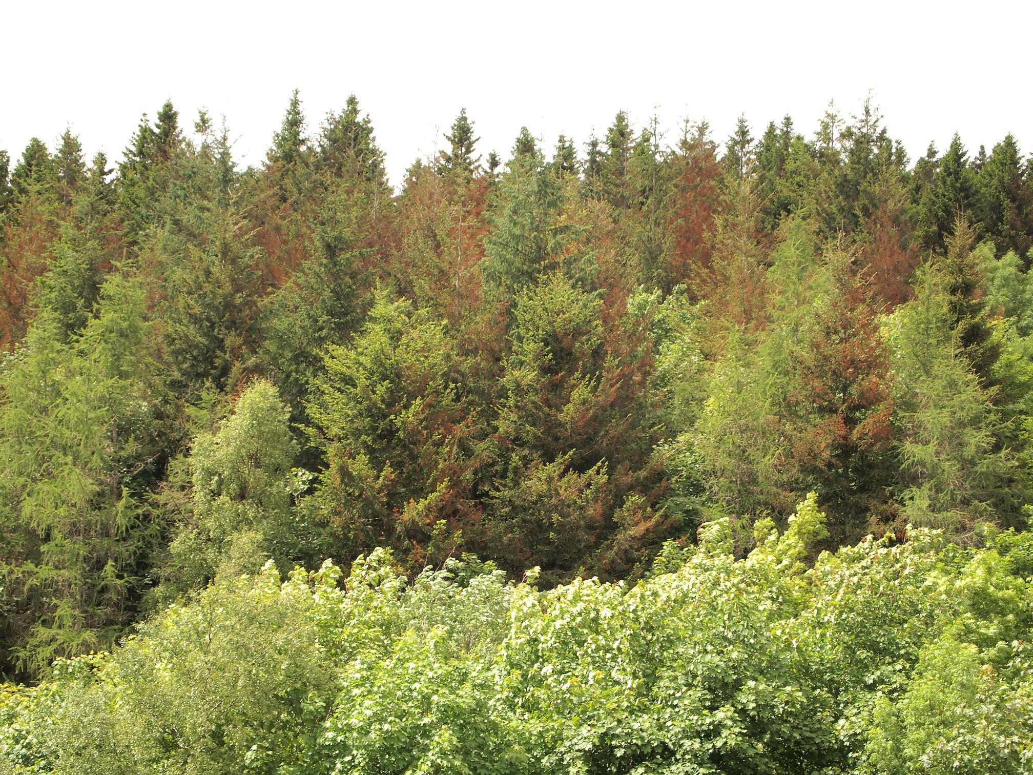 £3 million boost for landscape scheme