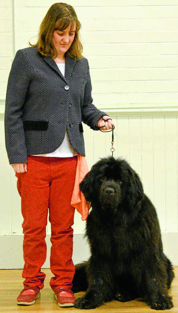 Local competitors ready for dog show
