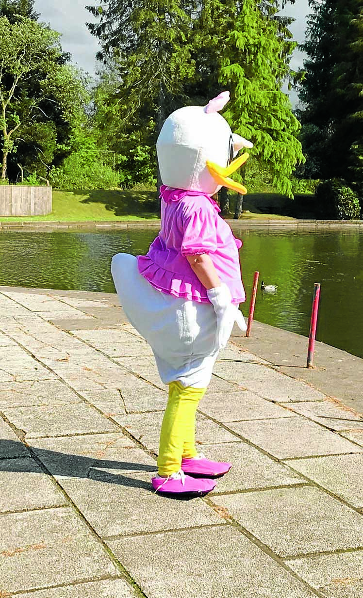 Quacked off