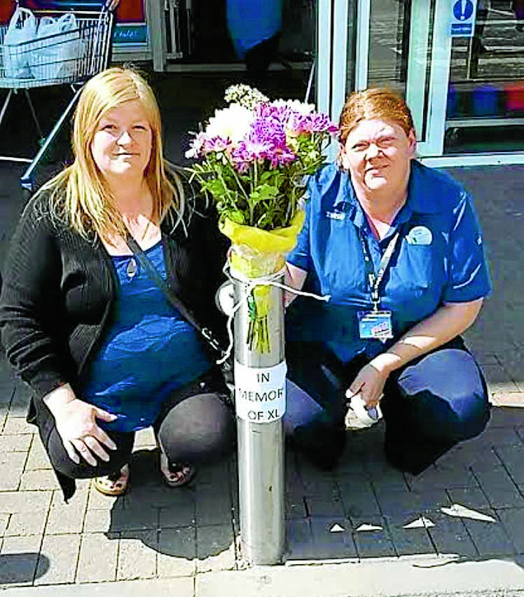Tributes to Tesco cat