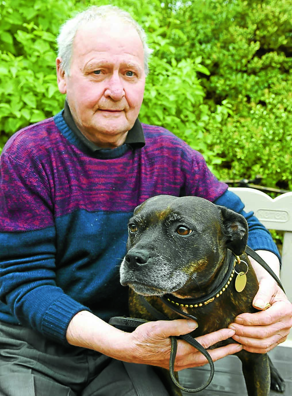 Owner’s anger after second dog attack