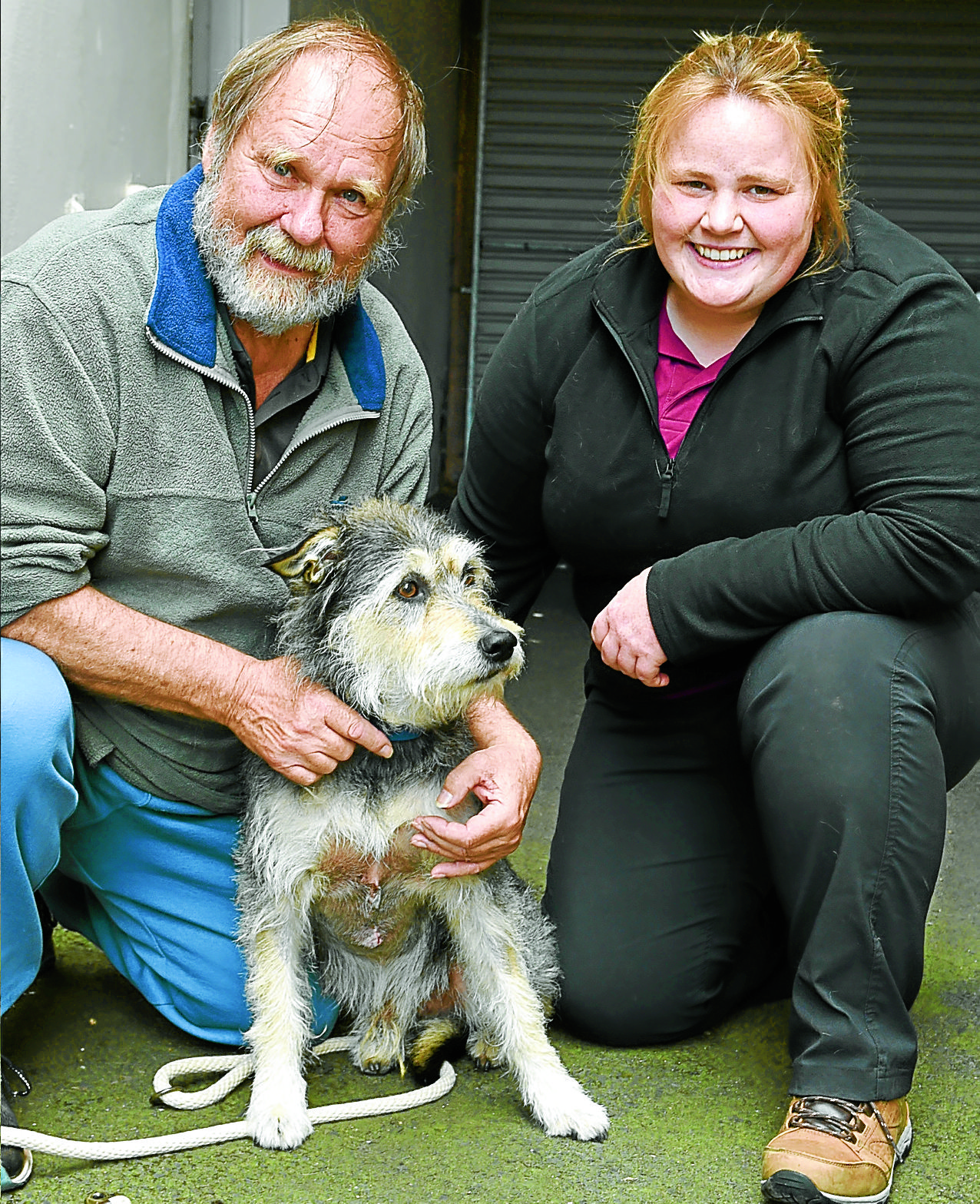 Swift action from Annan vets praised