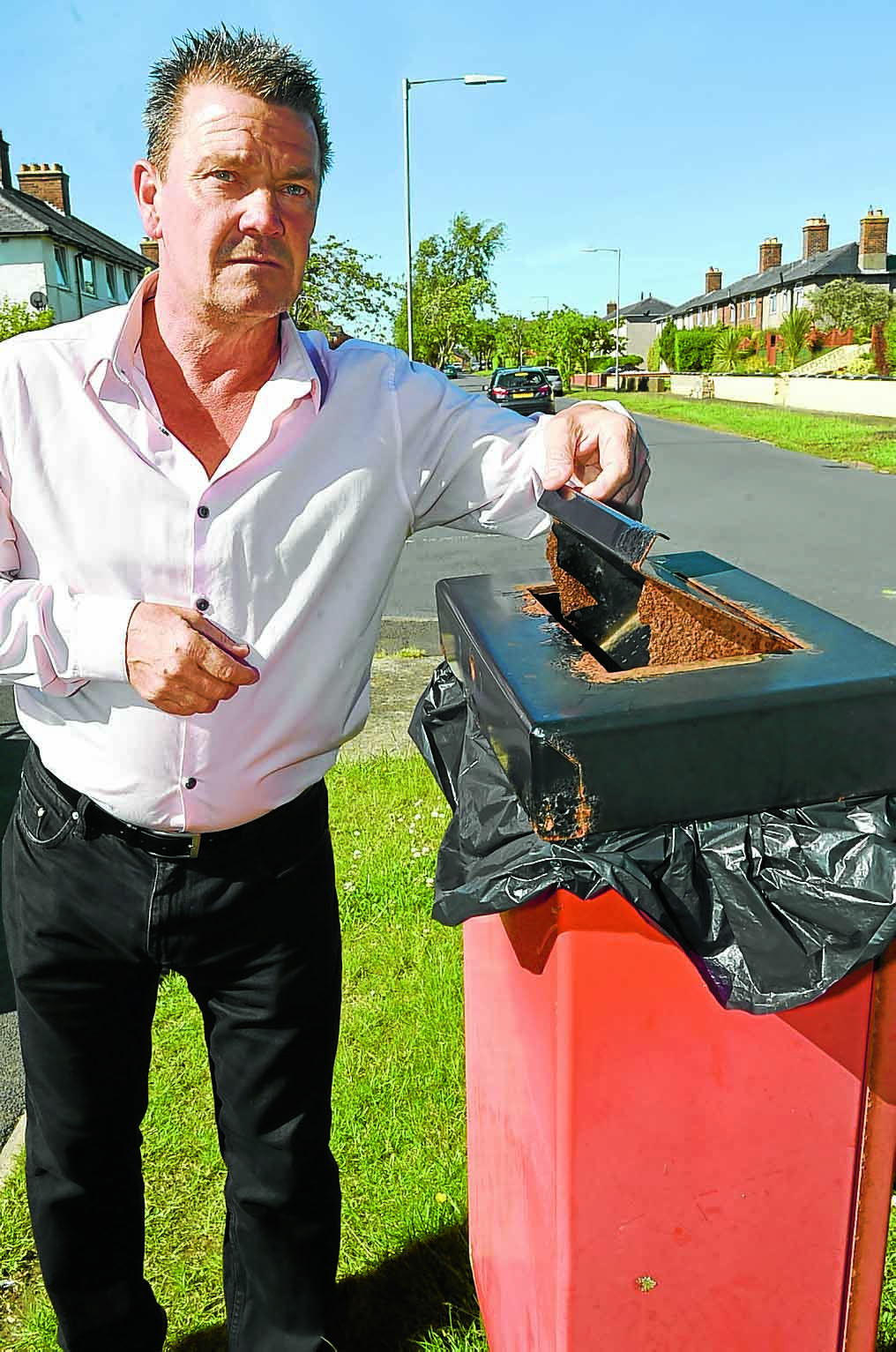 Action plan to be drawn up to tackle dog mess