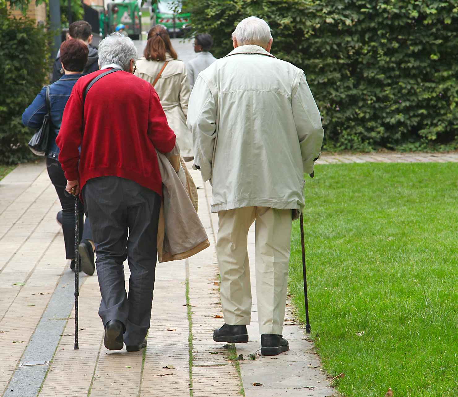 Elderly falls prevented through new project