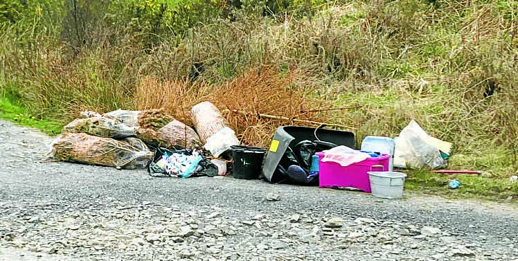 Rubbish, rows and dogs keep team busy