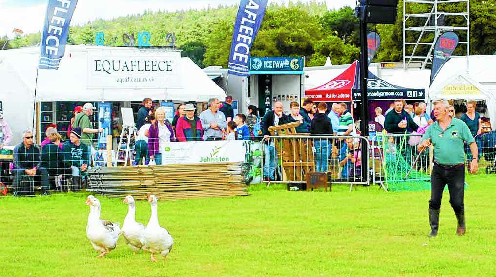 Rain and shine at the country fair