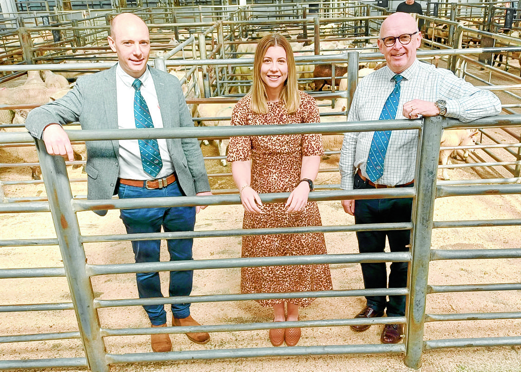 Senior appointments made