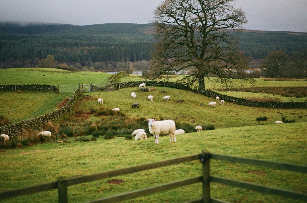 Local residents and groups invited to share thoughts on biodiversity