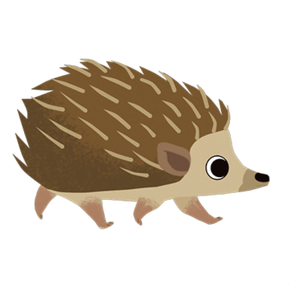 Hedgehog conservation proposals seek support