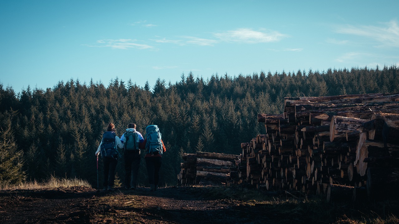 Five year plan to boost DofE scheme in D&amp;G