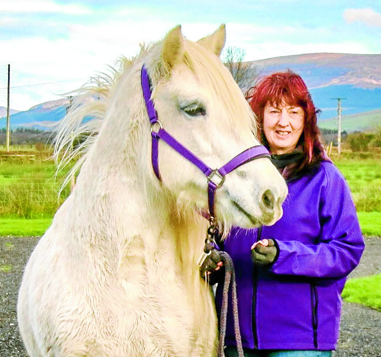 Shire company goes from strength to strength