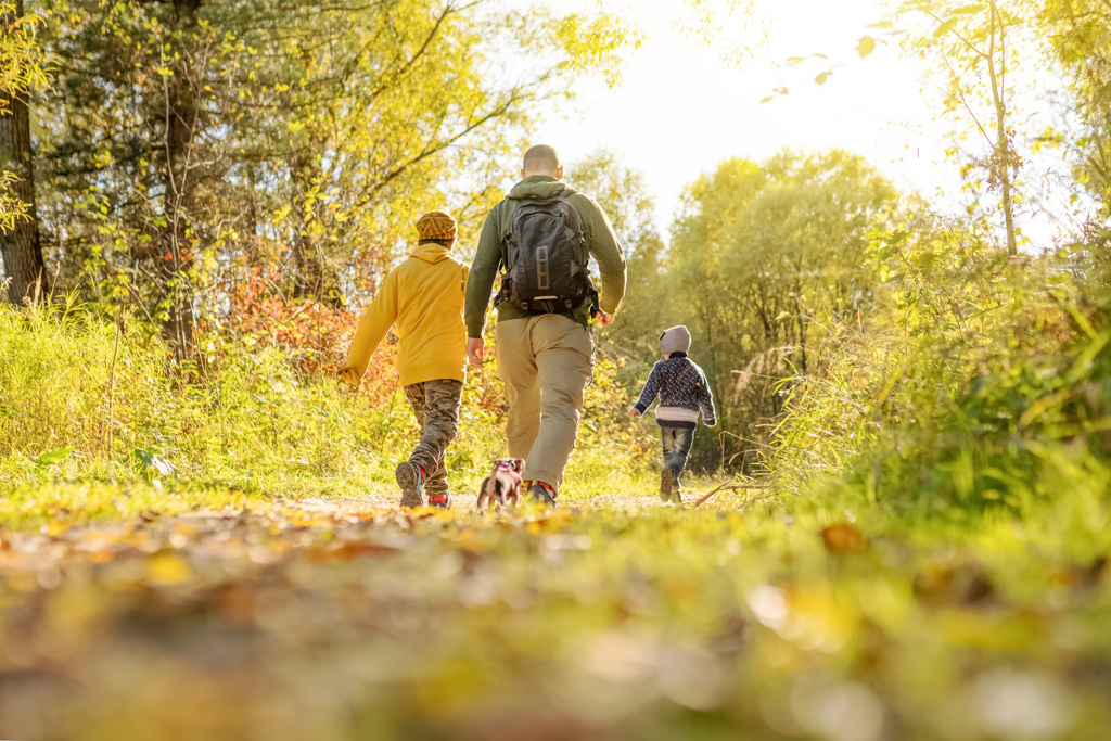 Children invited to explore the coastal woodlands