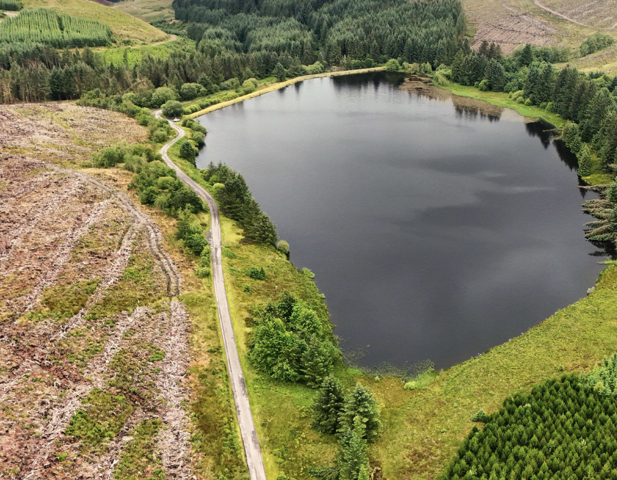 Buy a loch!