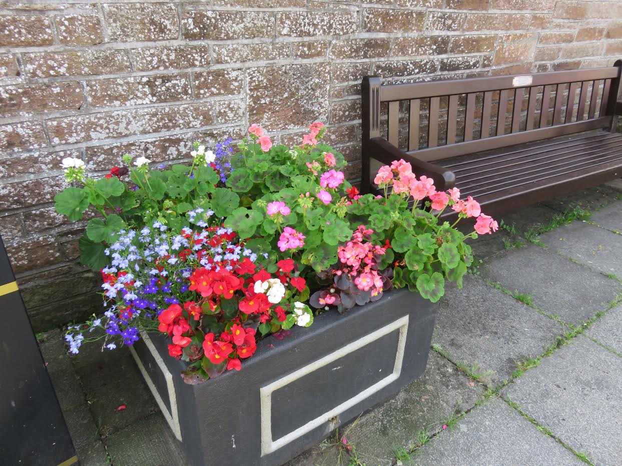 Community garden concerns