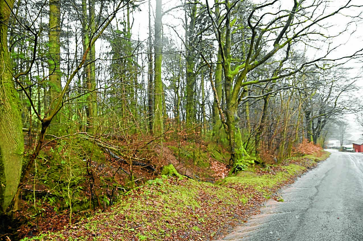 Woodland warning to the public
