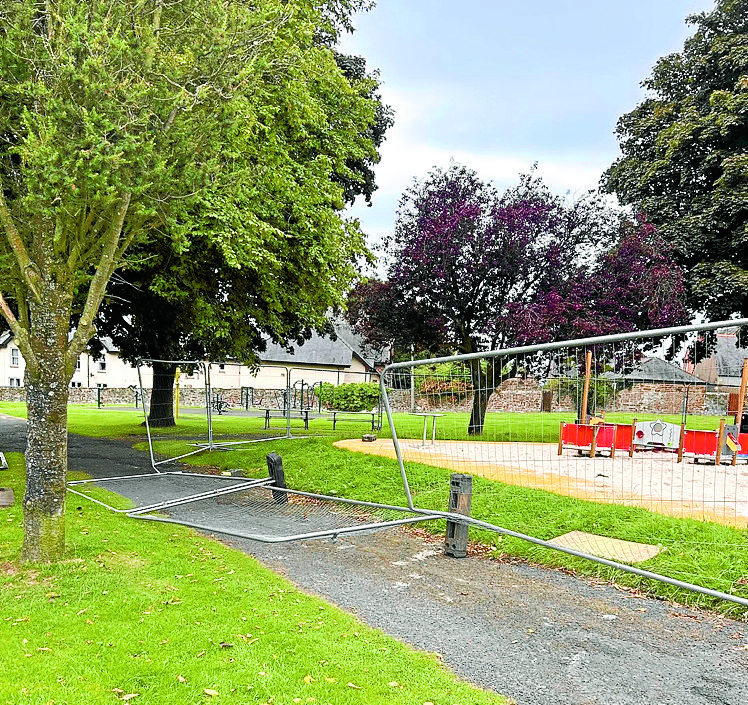 Urgent CCTV calls for town park