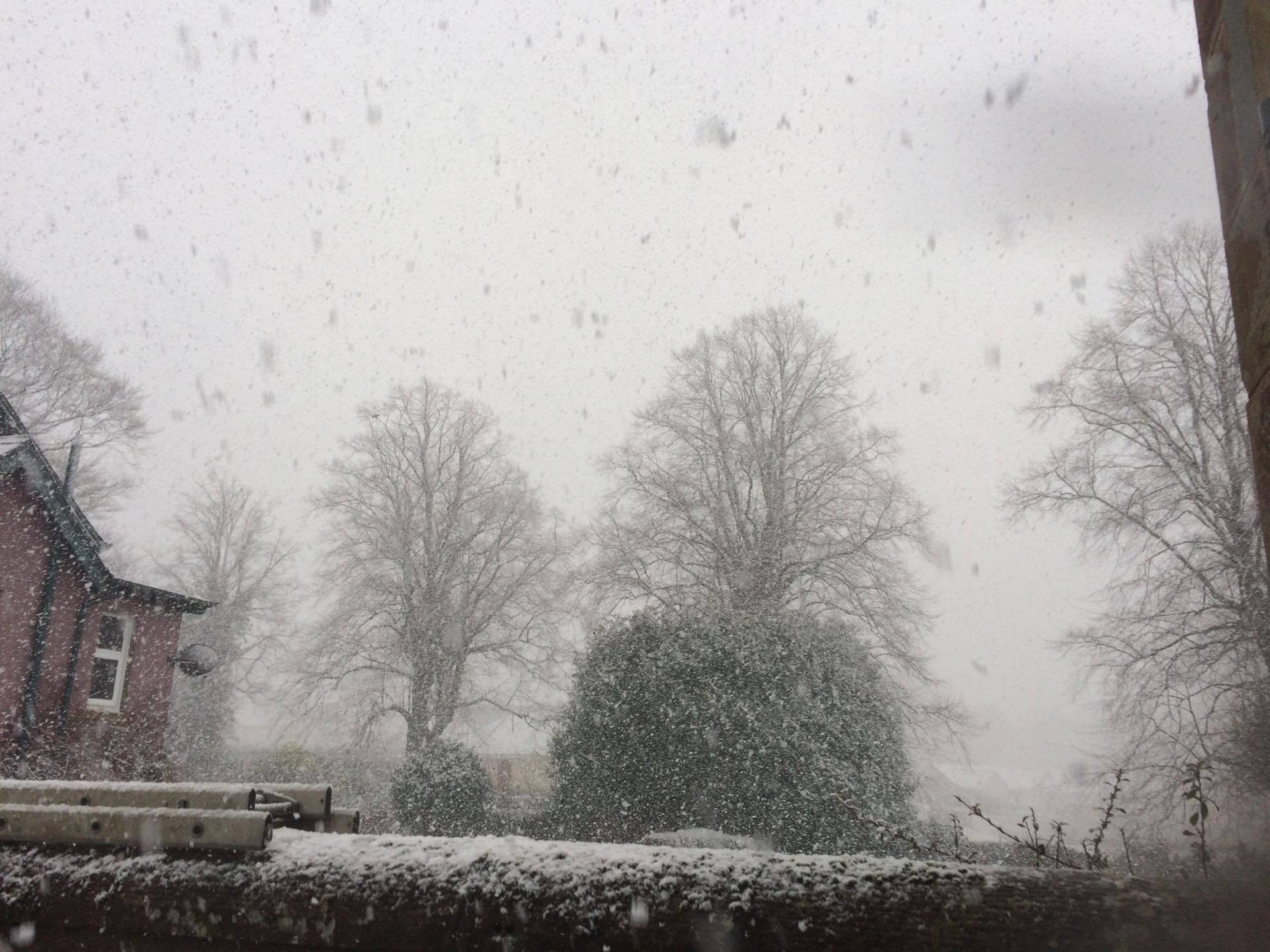 Snow scenes
