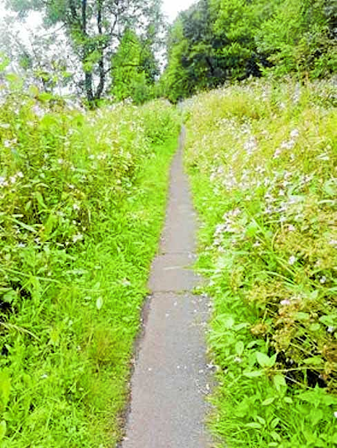 Councillor calls for money to be better spent